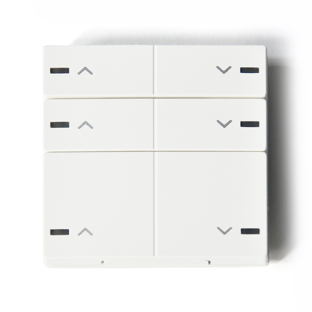 Dominoswiss MaxFlex Funktaster M8W Typ 39 mit Druck