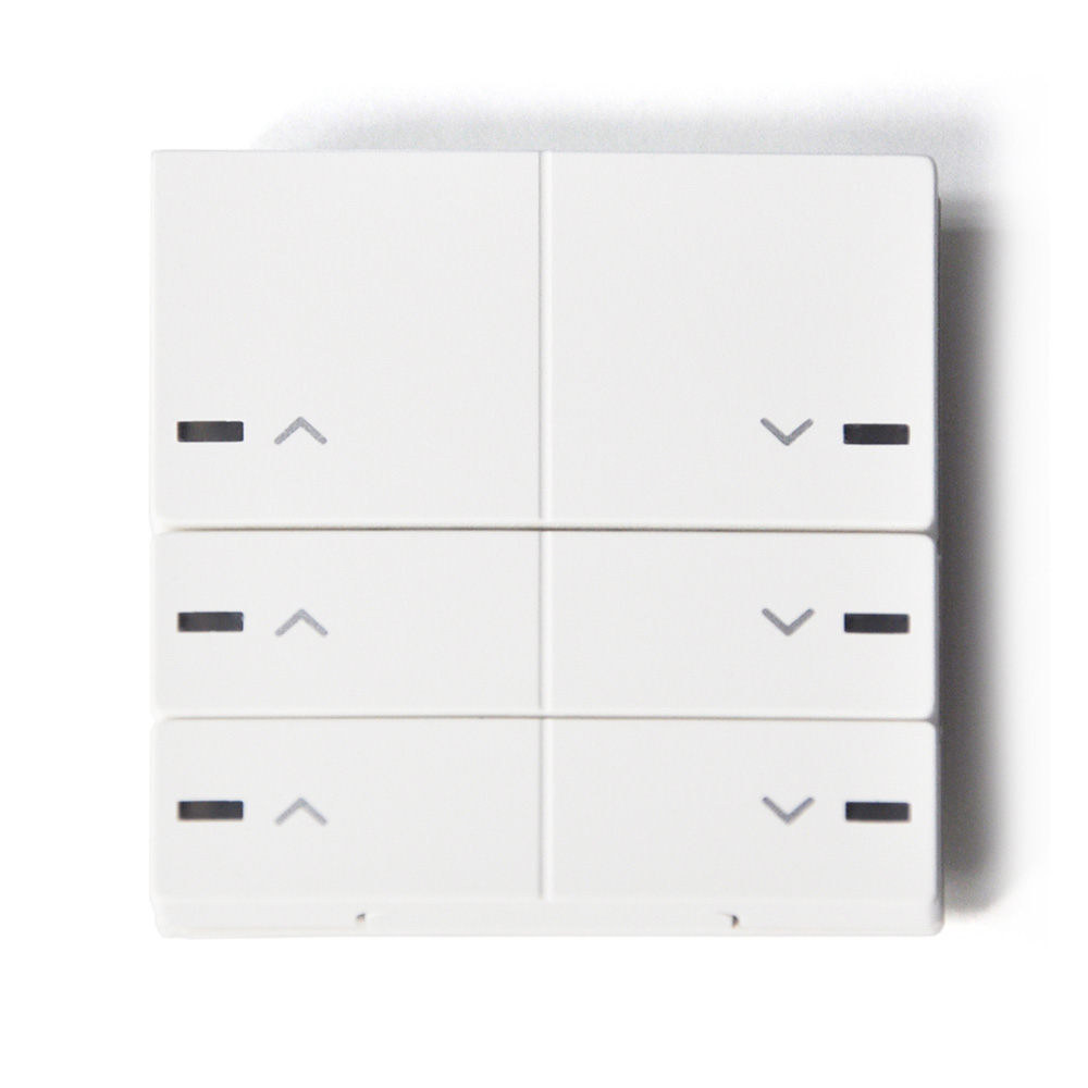 Dominoswiss MaxFlex Funktaster M8W Typ 41 mit Pfeil AUF/AB