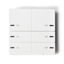 Dominoswiss MaxFlex Funktaster M8W Typ 41 mit Pfeil AUF/AB