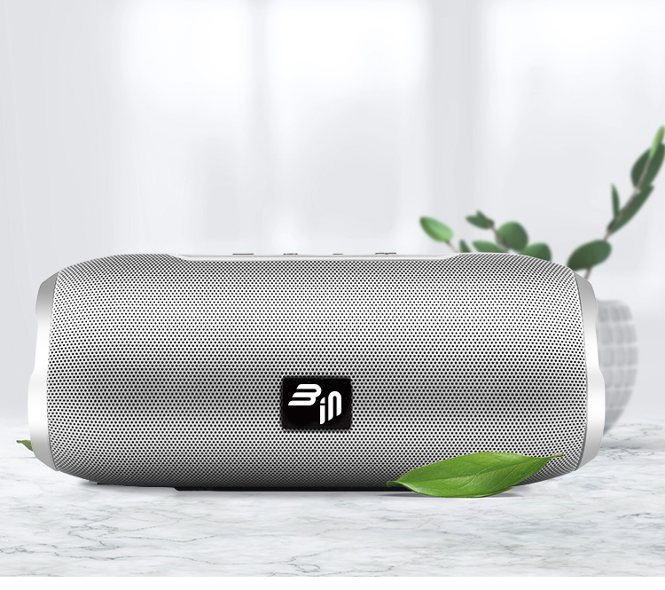 B-in | Bass Trunk Silver | Wireless Speaker mit Spritzwasserschutz | Silber