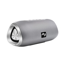 [BIN10006] B-in | Bass Trunk Silver | Wireless Speaker mit Spritzwasserschutz | Silber